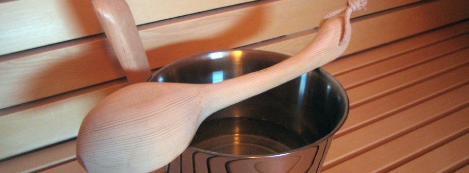 Saunas dipper web (2)